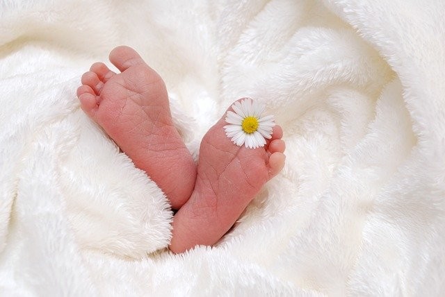 Mitos y verdades sobre bebés prematuros